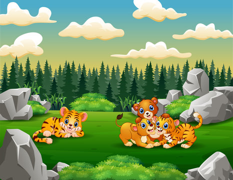 A tiger and lion families playing in the field