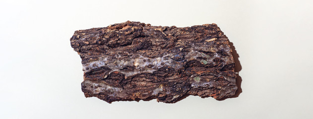 A plank made of tree bark. With a tight shadow on a light background. Concept