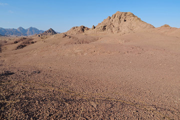 Barbed wire in Sinai desert, Egypt