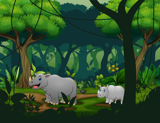 A rhino and her cub go through the forest