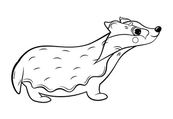 Coloring page outline of cute cartoon badger. Vector image isolated on white background. Coloring book of forest wild animals for kids