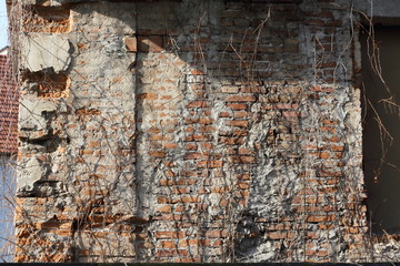 Texture City Urban