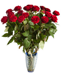 Obraz premium many red roses on black background