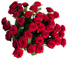 many red roses on black background