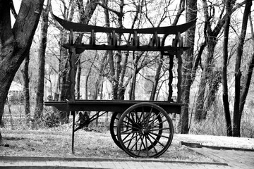 Fototapeta na wymiar Merchant Cart in rustic woods setting - Black and White