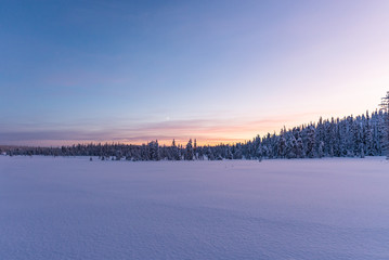 winter landscape