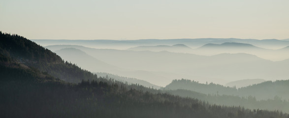 Amazing panorama background banner long from a fog landscape in the morning in black forest	