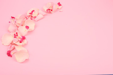 Fototapeta na wymiar Floral frame of pink petals on a colored background. Minimal nature love idea