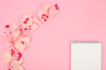 Styled flat lay mockup with floral elements on pink table. Copy space.