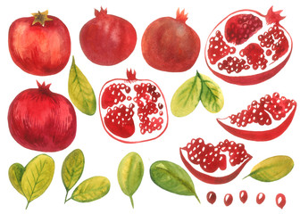 Watercolor set of isolated elements with pomegranates and leaves