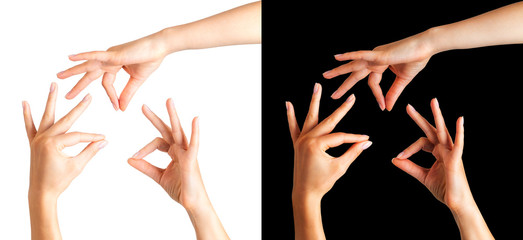Set of woman hands showing mudra gesture or holding something.