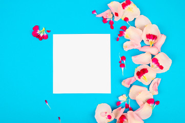 Creative layout with pink petals on a blue background. Blank card. Copy space for text.