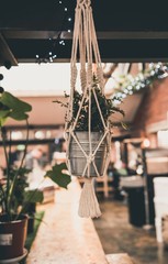 Fototapeta na wymiar hanging basket