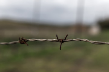 Rusty Barb Wire String