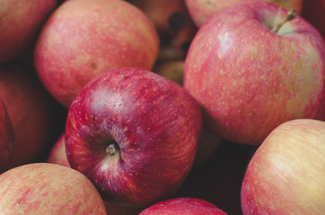 Red apples close up. Fuji apple variety