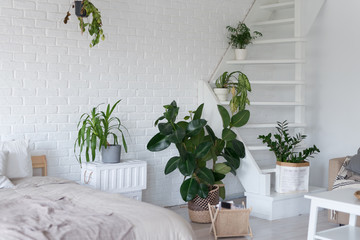 Stylish bedroom interior design with pot plants