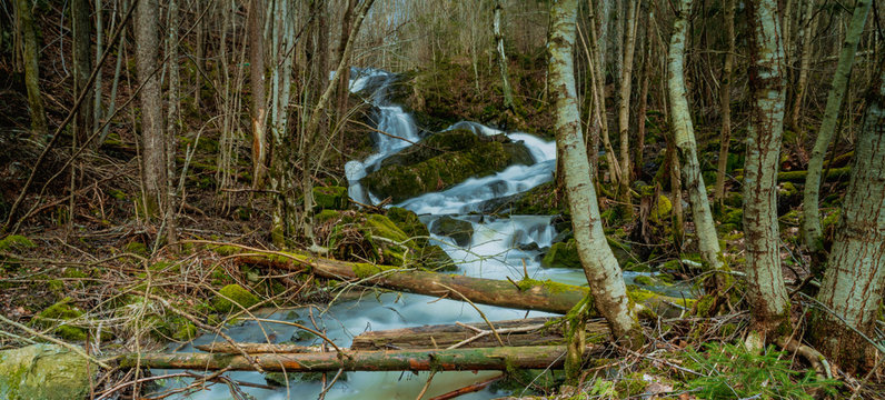 Wodospad kaskadowy w środku skandynawskiego lasu w pobliżu miejscowości Hestvika w Norwegii