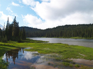 Mount Rainier National Park, Washington