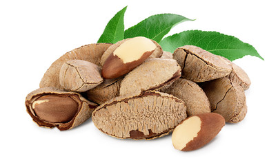 Brasil nuts in nutshell isolated on white background with clipping path and full depth of field.