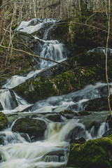 Wodospad kaskadowy w środku skandynawskiego lasu w pobliżu miejscowości Hestvika w Norwegii © Dreamnordno