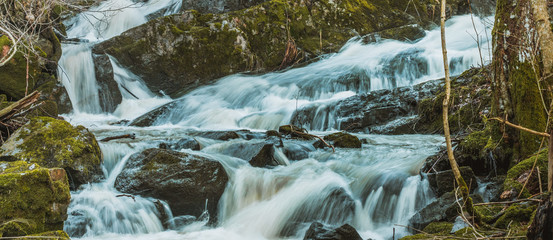 Wodospad kaskadowy w środku skandynawskiego lasu w pobliżu miejscowości Hestvika w Norwegii - obrazy, fototapety, plakaty