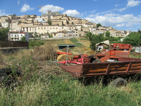 Navelli