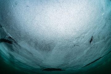 Drift ice diving © divedog