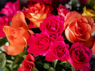 Pink Rosa Rose Flower Bunch