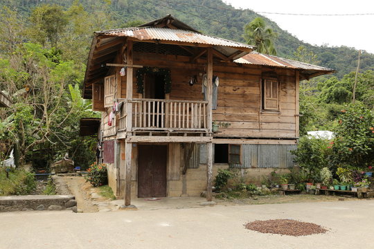 Naneng Heritage Village, wurde in den 1920er Jahren gegr&uuml;ndet. Diese H&auml;user wurden aus Narra-, Yamban- und Dao-B&auml;umen gebaut. Kalinga, Philippinen. Im Vordergrund Kaffeebohnen.