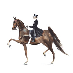 Horse dressage competition equestrian sport watercolor painting illustration isolated on white background