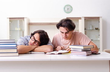 Two male students preparing for exams at home