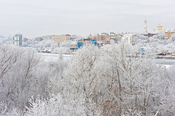 Rostov-on-Don in winter and trees in frost.