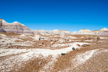 Desert Landscape