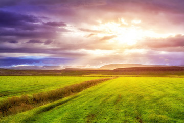 Colorful sunset over green meadow. Iceland.