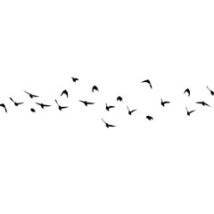 A flock of flying birds silhouette. Vector illustration