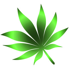 Color vector illustration of a variegated leaf of cannabis used in medicine. Radiance of shades of green. Marijuana on an isolated background. Agricultural crop-hemp. Idea for illustrating a book.