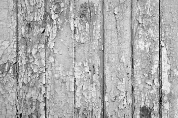 Vintage wooden background. Blank for designers. texture.