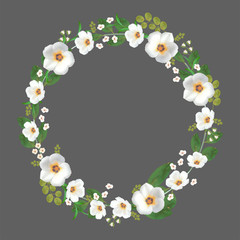 circle vintage frames with flowers blossom and leaves. Vector image