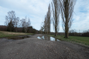 Wilde Natur im März