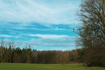 Wilde Natur im März