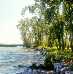 Shoreline of Lake Clitherall. Clitherall Minnesota MN USA