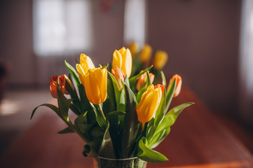 Yellow tulip flowers in vase 