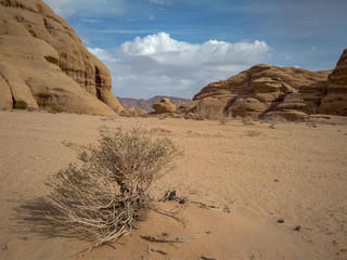 rock formations and desert landscape of Wadi Rum desert in southern Jordan. Popular tourist destination and place of Lawrence of Arabia