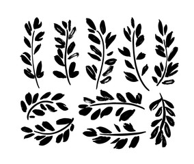 Plant twigs with leaves black paint illustrations set. Hand drawn foliage branch silhouettes isolated on white background.