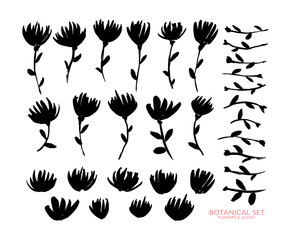 Flower silhouettes hand drawn black paint illustrations set. Delicate blooming plants monochrome drawings collection.