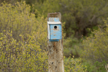 Fence post blue bird house