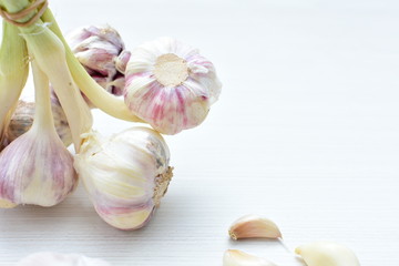 Heads of garlic, ripe white corsage on white wooden background