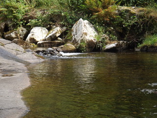 waterfall in forest