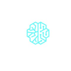 brain logo 