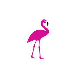 flamingo logo